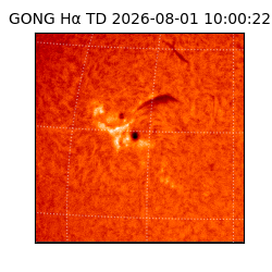gong - 2026-08-01T10:00:22