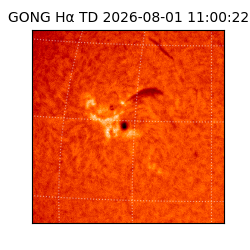 gong - 2026-08-01T11:00:22