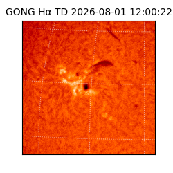 gong - 2026-08-01T12:00:22