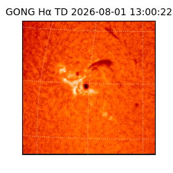 gong - 2026-08-01T13:00:22
