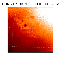gong - 2026-08-01T14:02:02