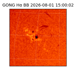 gong - 2026-08-01T15:00:02
