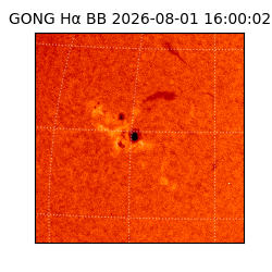 gong - 2026-08-01T16:00:02