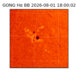 gong - 2026-08-01T18:00:02