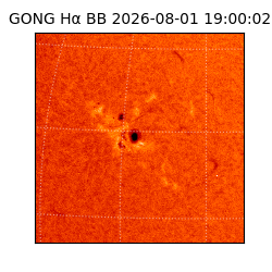gong - 2026-08-01T19:00:02