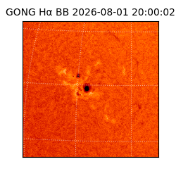 gong - 2026-08-01T20:00:02