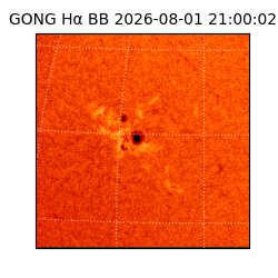 gong - 2026-08-01T21:00:02
