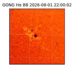 gong - 2026-08-01T22:00:02