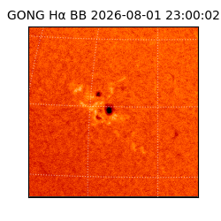 gong - 2026-08-01T23:00:02