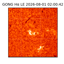 gong - 2026-08-01T02:00:42