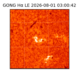 gong - 2026-08-01T03:00:42