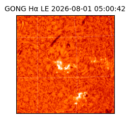 gong - 2026-08-01T05:00:42