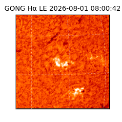 gong - 2026-08-01T08:00:42