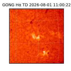 gong - 2026-08-01T11:00:22