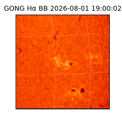 gong - 2026-08-01T19:00:02