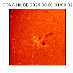 gong - 2026-08-01T01:00:02
