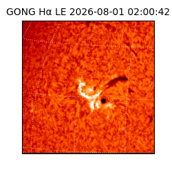 gong - 2026-08-01T02:00:42