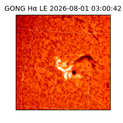 gong - 2026-08-01T03:00:42