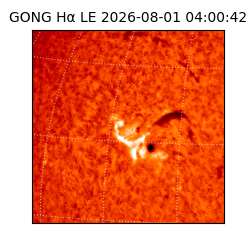 gong - 2026-08-01T04:00:42