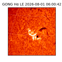 gong - 2026-08-01T06:00:42
