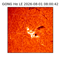 gong - 2026-08-01T08:00:42