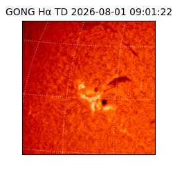 gong - 2026-08-01T09:01:22