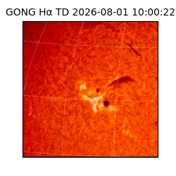 gong - 2026-08-01T10:00:22