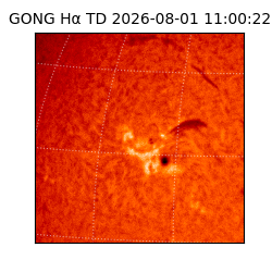 gong - 2026-08-01T11:00:22