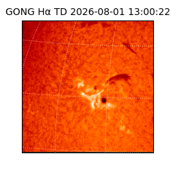 gong - 2026-08-01T13:00:22