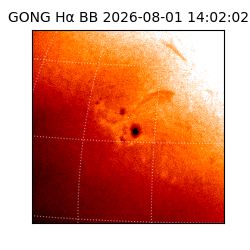 gong - 2026-08-01T14:02:02