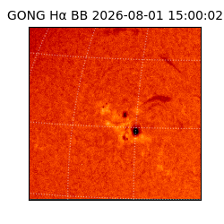 gong - 2026-08-01T15:00:02