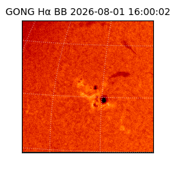 gong - 2026-08-01T16:00:02