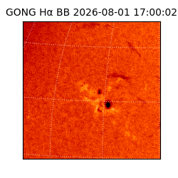 gong - 2026-08-01T17:00:02