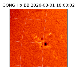 gong - 2026-08-01T18:00:02