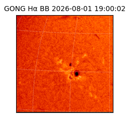 gong - 2026-08-01T19:00:02