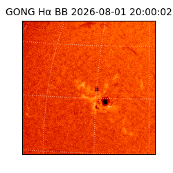 gong - 2026-08-01T20:00:02