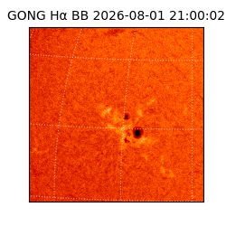 gong - 2026-08-01T21:00:02