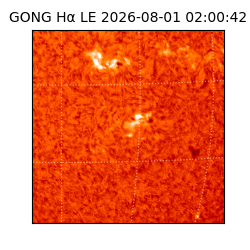 gong - 2026-08-01T02:00:42