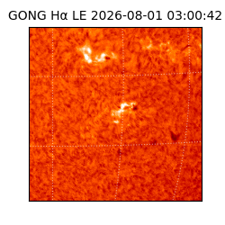 gong - 2026-08-01T03:00:42