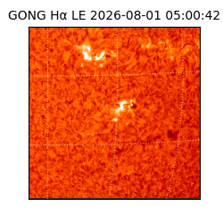 gong - 2026-08-01T05:00:42