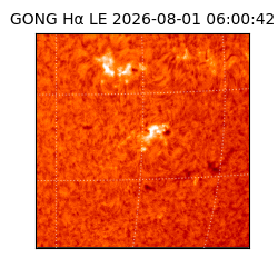 gong - 2026-08-01T06:00:42