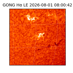 gong - 2026-08-01T08:00:42