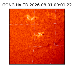 gong - 2026-08-01T09:01:22