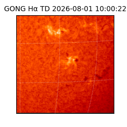 gong - 2026-08-01T10:00:22