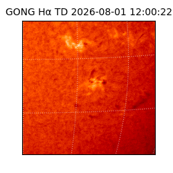 gong - 2026-08-01T12:00:22