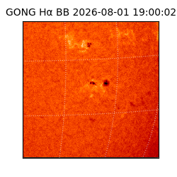 gong - 2026-08-01T19:00:02