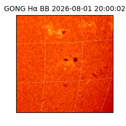 gong - 2026-08-01T20:00:02