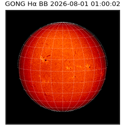 gong - 2026-08-01T01:00:02