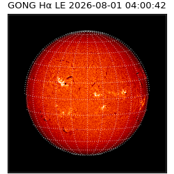 gong - 2026-08-01T04:00:42