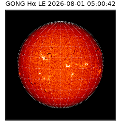 gong - 2026-08-01T05:00:42